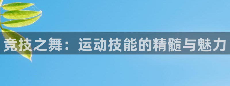 vsport体育在线官网