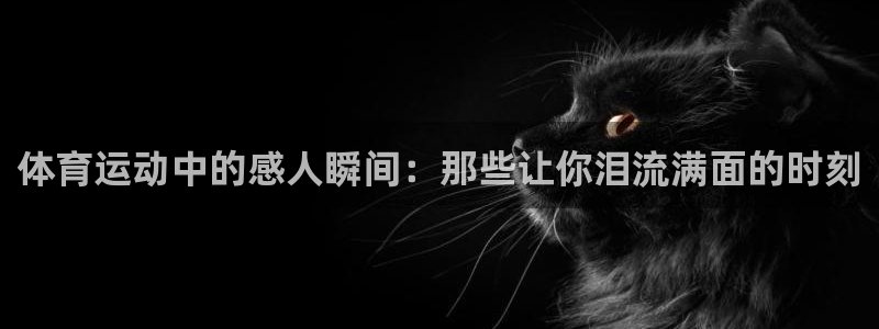 vsport体育在线官网