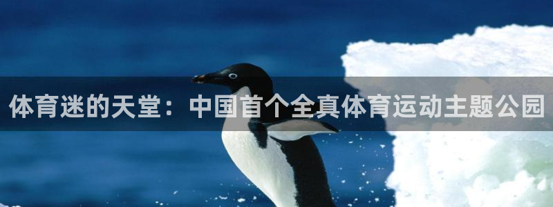 vsport体育在线官网