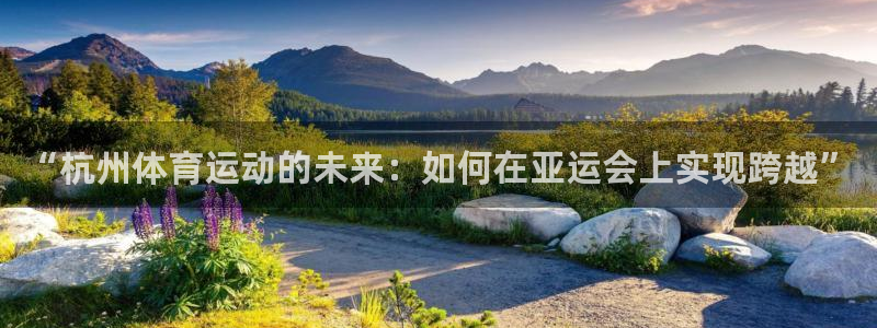 vsport体育在线官网